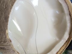 特浓椰子冻-椰爺爺·椰子冻砵仔糕