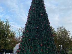 -小杨生煎(龙之梦购物中心店)