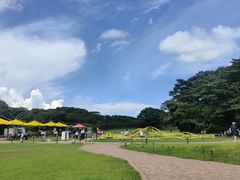 -济州森林小火车生态公园