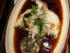 清蒸鲈鱼-北平盛世·新京菜·北京烤鸭(劲松·双井店)