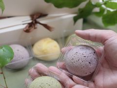 -可丽可丽·生日蛋糕·下午茶(厦门鹭港店)