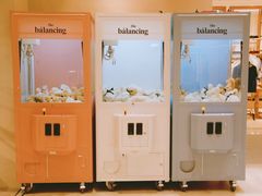 -the balancing(东方店)