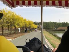 -淇河国家湿地公园