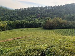 -敬亭山风景名胜区