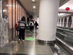 -厦门高崎国际机场-T3航站楼
