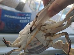 -三旗百汇商品城