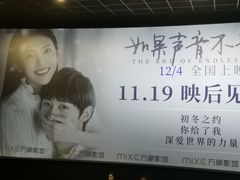 -万象影城(石家庄万象城IMAX激光店)