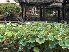 -朴墅(西湖青芝坞店·杭帮菜·家宴.14年的店)