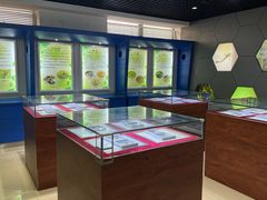 -上海昆虫博物馆