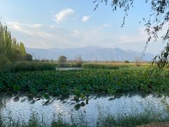 -野鸭湖国家湿地公园