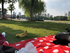 -白塘生态植物园