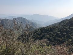 -大岭沟猕猴桃谷风景区