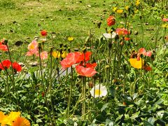 -廖老妈蹄花店(人民公园陕西街259号店)