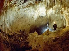 -怀托摩萤火虫洞