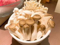 -協成海鮮火鍋(老店)