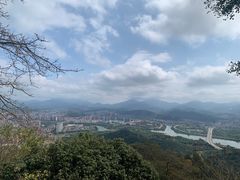 -风云岭森林公园