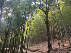 -广州市石门国家森林公园