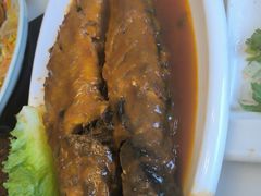 -英子补身汤(海兰路店)