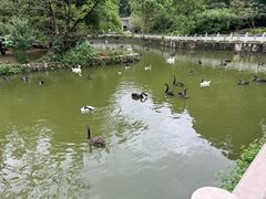 -黔灵山公园