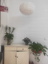 点击看大图 -Dr.林醫生产后修复·配方产康店(南京大厂店)