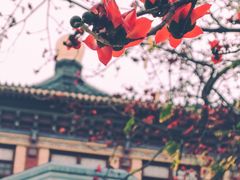 -广州中山纪念堂