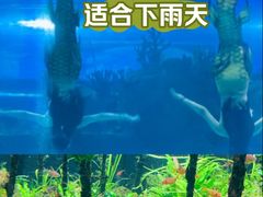 -成都浩海立方海洋公园