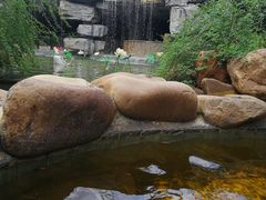 -万象温泉景区