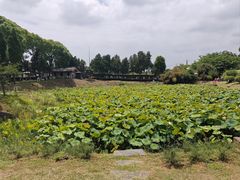 -南唐二陵