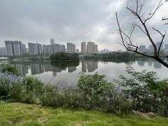 -三圣花乡旅游区