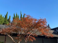 -苏州文庙(姑苏区)