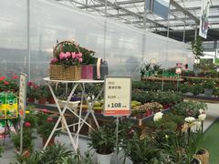 -南通鲜花小镇