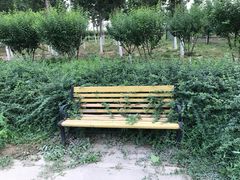 -永定河休闲森林公园