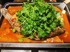 海鲈鱼-炉鱼(萧山万象汇店)