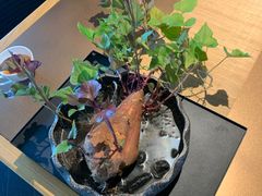 -木守西溪溪隐餐厅