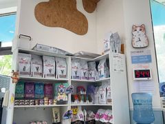 -纳吉亚猫专科动物医院·北北分院