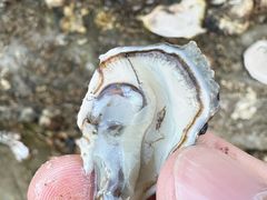 -金沙滩度假村