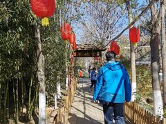 -草根堂农场