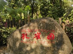 -西双版纳傣族园