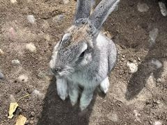 -哈尔滨北方森林动物园