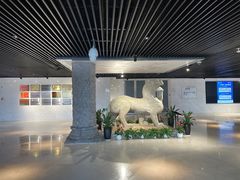 -宣城市博物馆