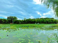 -三忘湖 SWANSEEN(柳荫公园店)