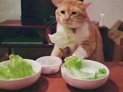 -重庆海昌加勒比海水世界