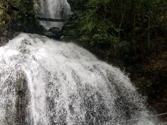 -藏龙百瀑风景区