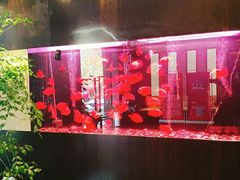 -大唐盲人按摩中心(黄山路店)