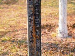 -西安青龙寺遗址景区