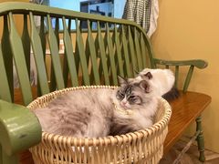 -怪兽屋·羊驼·猫咖·狗咖(俊华广场店)