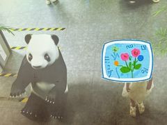 -陕西自然博物馆