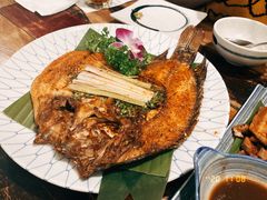 -紫滇源云南生态菜(丹凤街店)