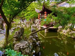 -同里国家湿地公园
