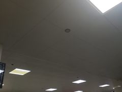 -龙门李家三旦羊肉汤馆